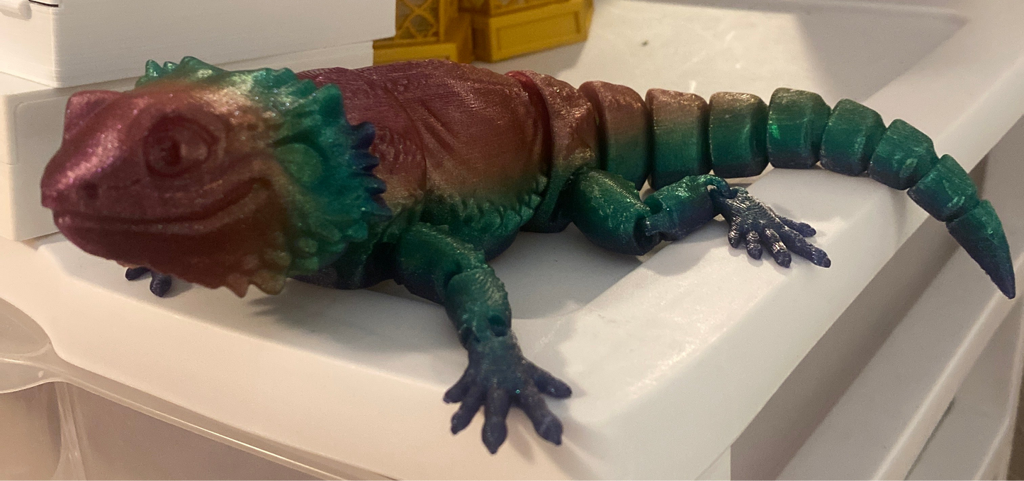 Bearded Dragon Lizards