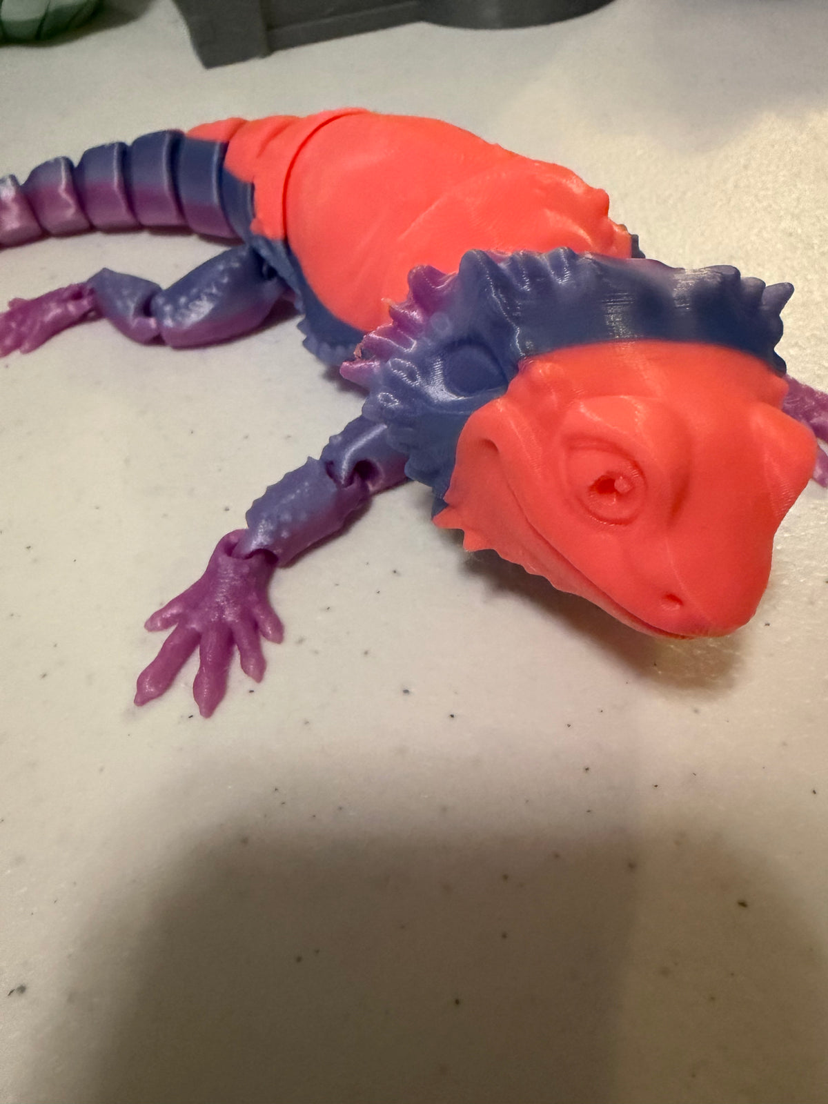 Bearded Dragon Lizards