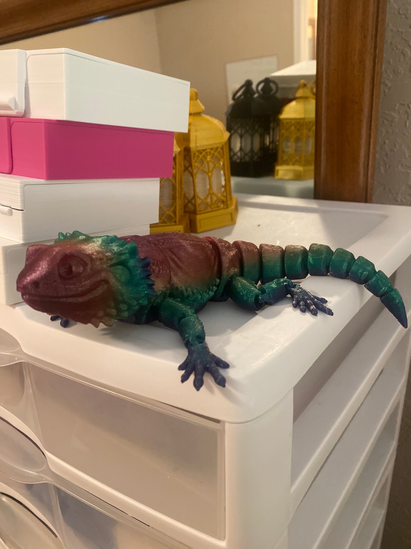 Bearded Dragon Lizards