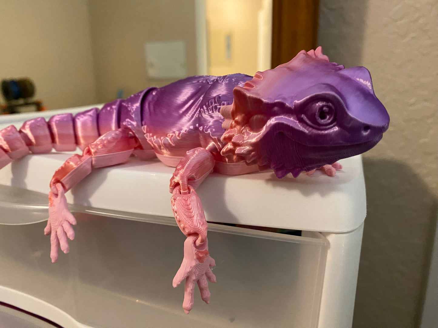 Bearded Dragon Lizards