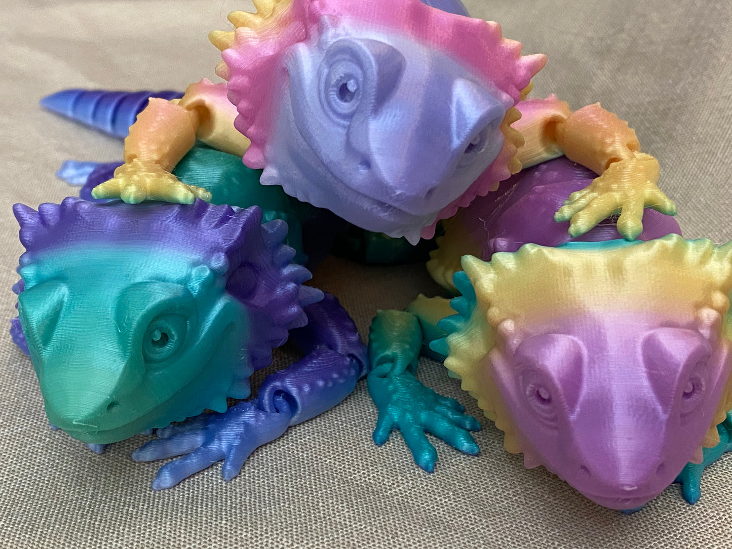 Bearded Dragon Lizards