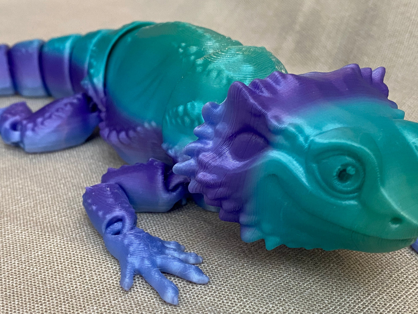 Bearded Dragon Lizards