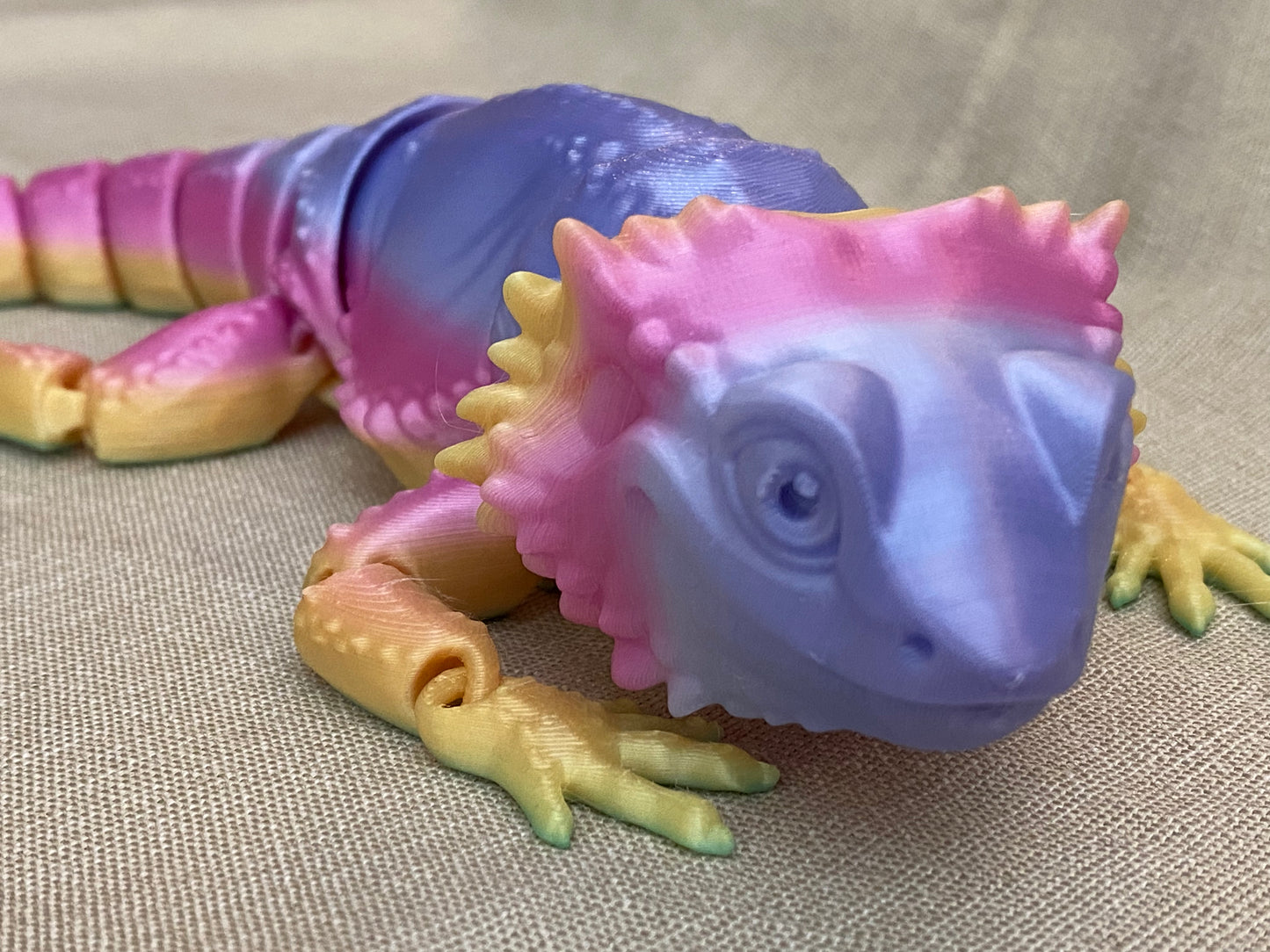 Bearded Dragon Lizards