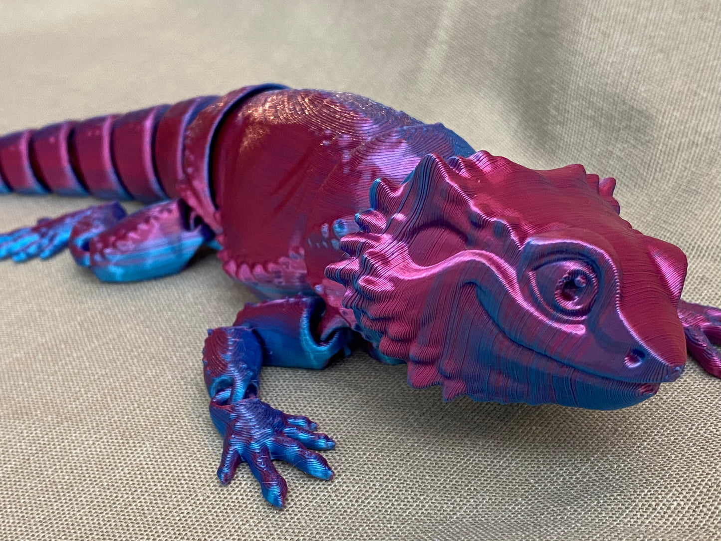 Bearded Dragon Lizards