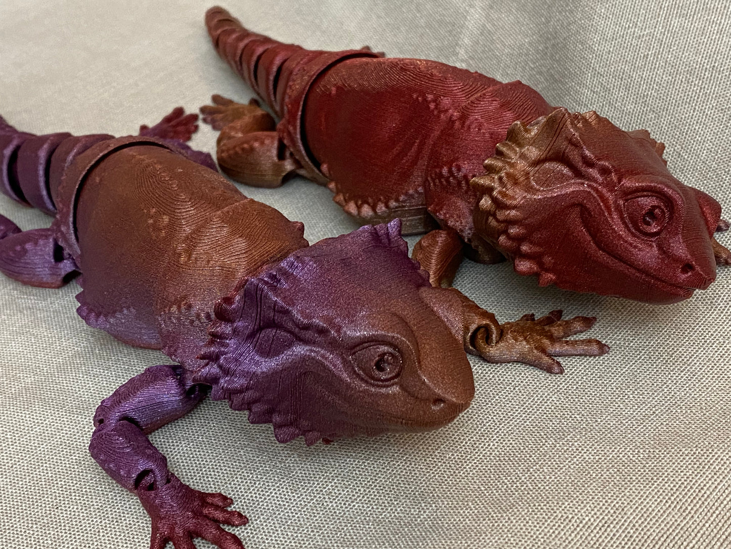 Bearded Dragon Lizards